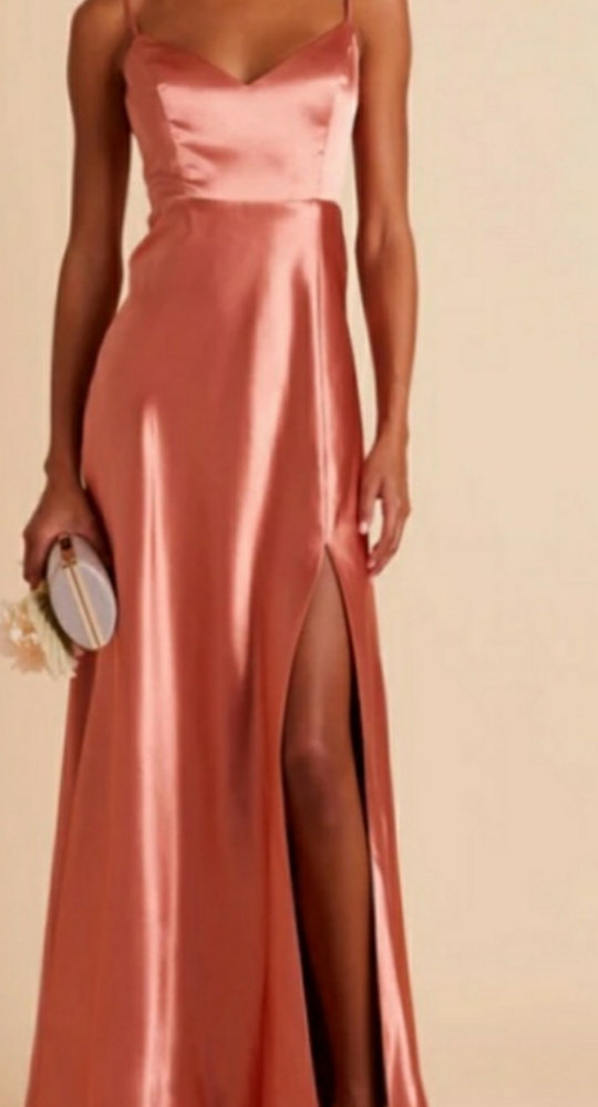 Birdy Grey Jay Satin Dress Terracotta